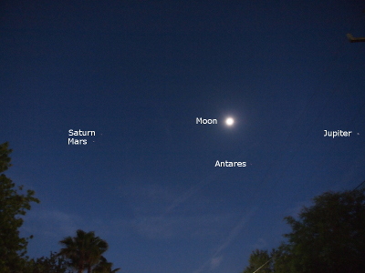 [The sky has begun to get light and trees are visible at the lower left and right. Saturn is just above and to the right of Mars on the left side. The near-full moon sits in the middle of the sky slightly above the line between Saturn on the left and Jupiter on the far right. A bit below and to the right of the moon is the star Antares. The names of all the orbs are in white to the left of each orb.]